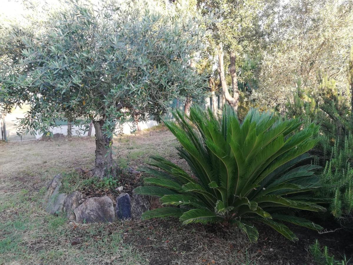 La Cuppulata Apartment Budoni Exterior photo