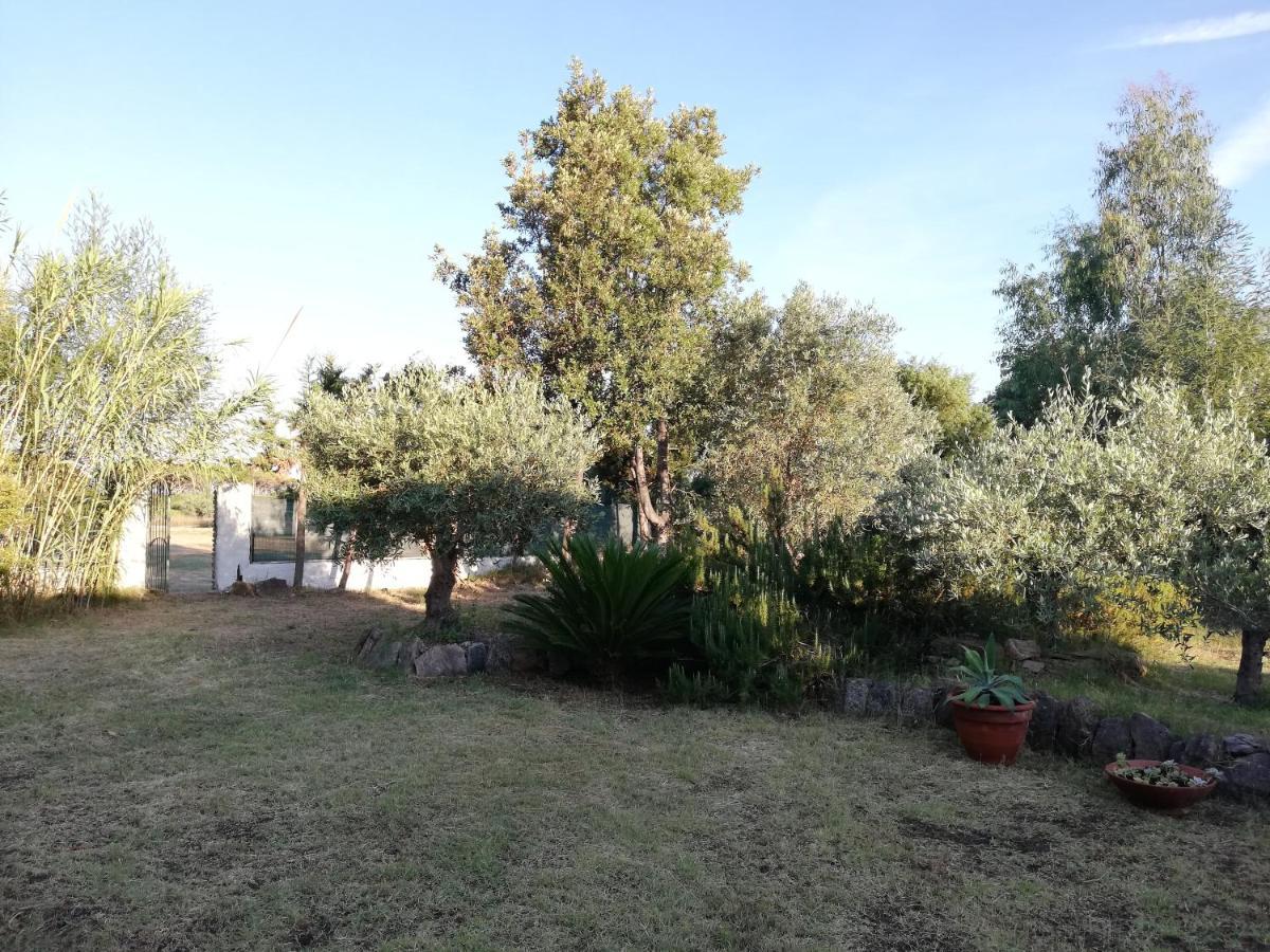 La Cuppulata Apartment Budoni Exterior photo