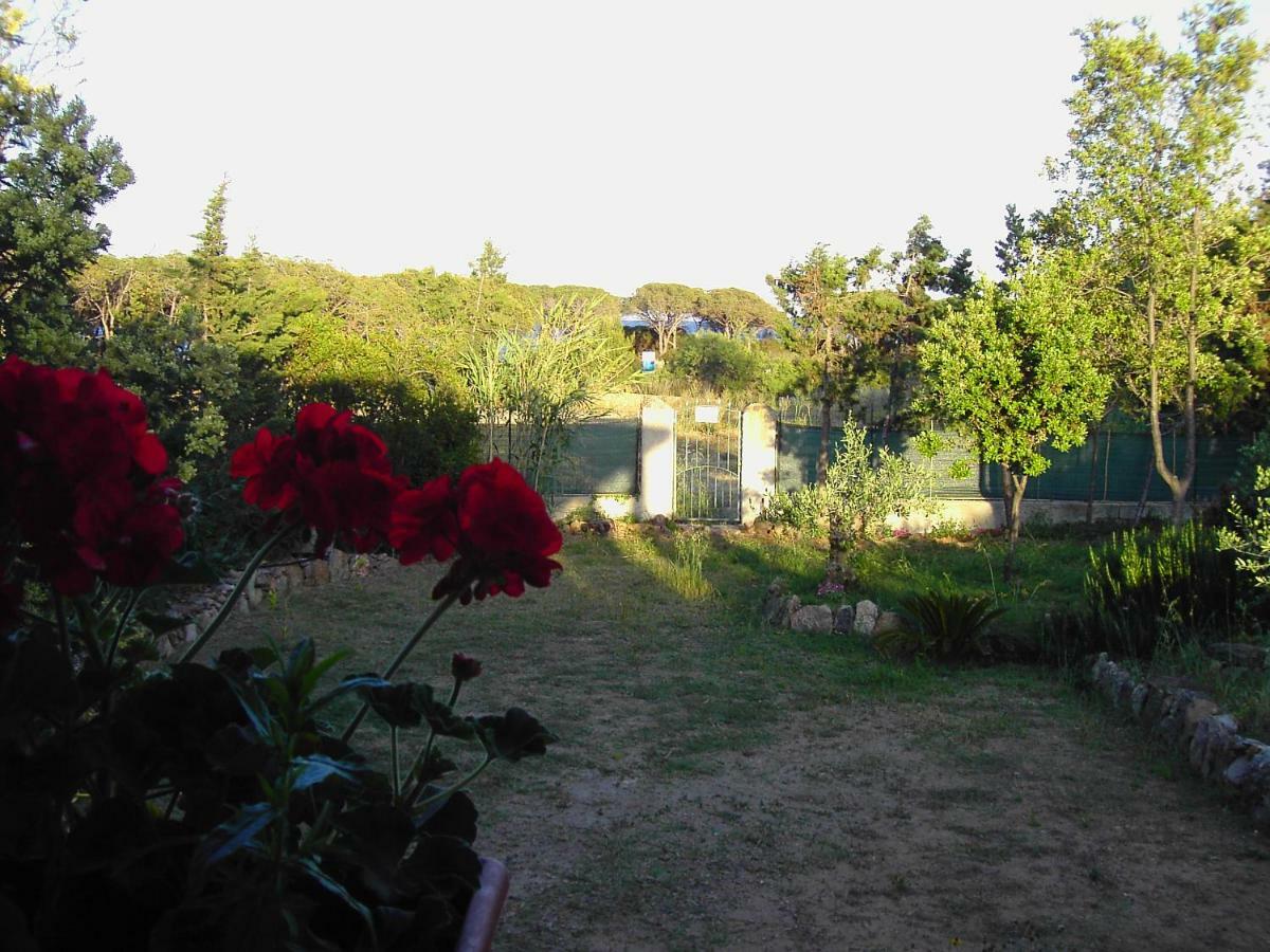 La Cuppulata Apartment Budoni Exterior photo